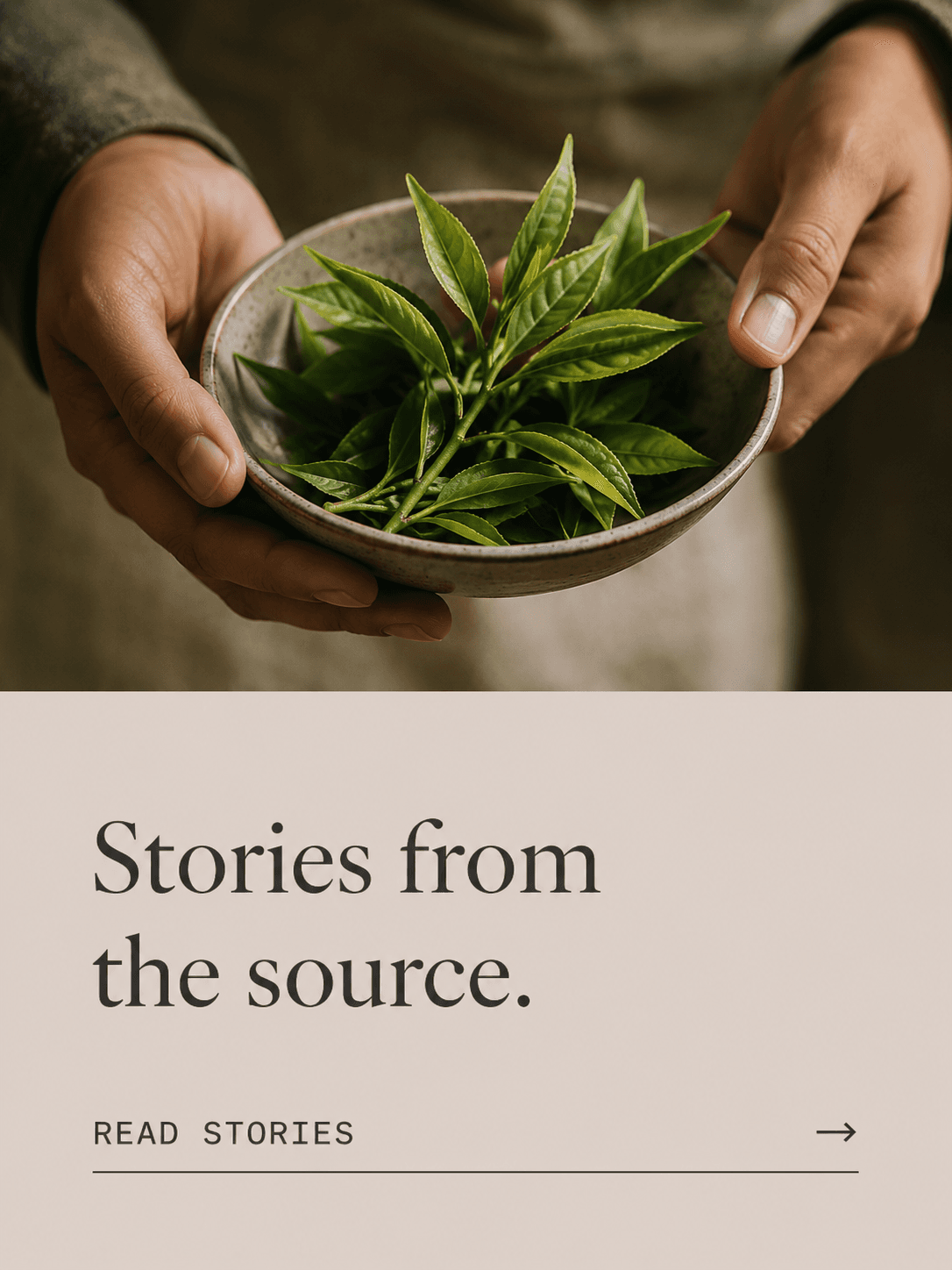 Stories from the source